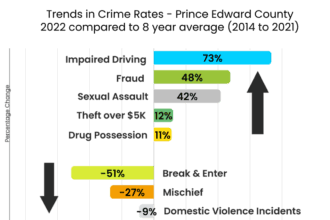 Safety: Crime Rates