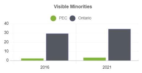 visible minorities percentage of the population